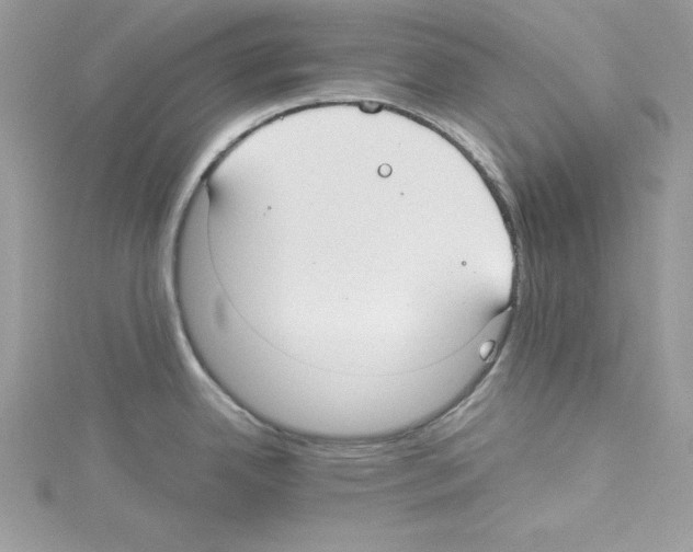 X0000114081342200911161008