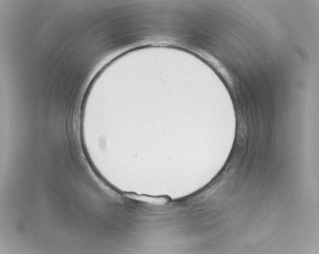 X0000114081343200911161008