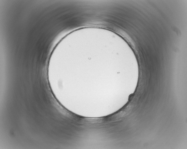 X0000114081344200911161008