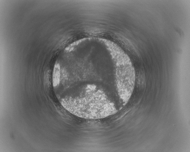 X0000114081346200911161007