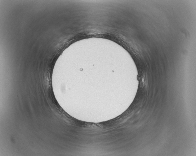 X0000114081348200911161007