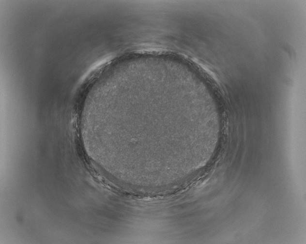 X0000114081351200911161007