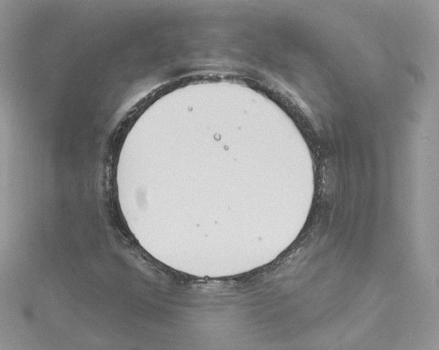 X0000114081352200911161007