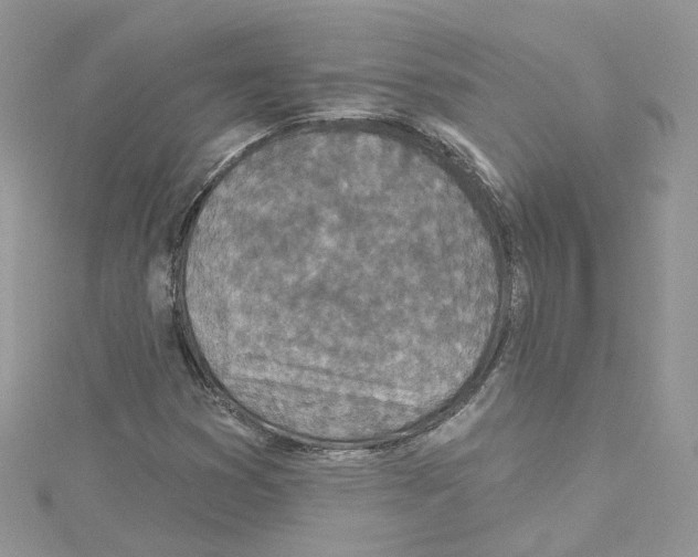 X0000114081353200911161007