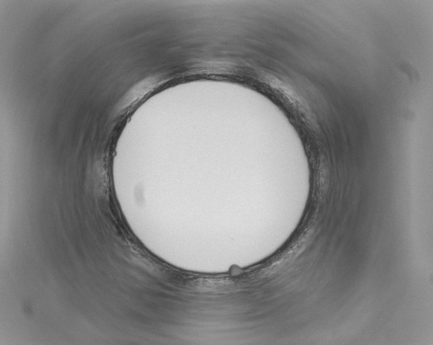 X0000114081354200911161007