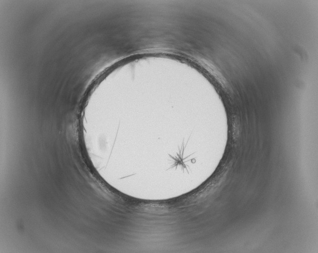 X0000114081356200911161007