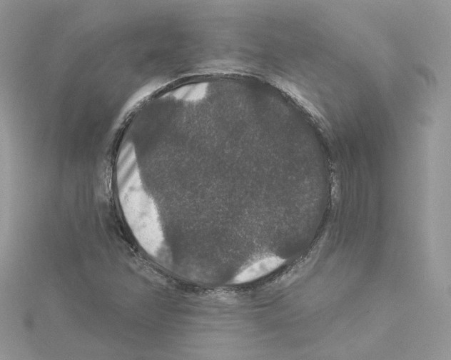 X0000114081358200911161007