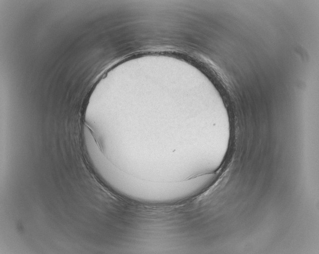 X0000114081361200911161007