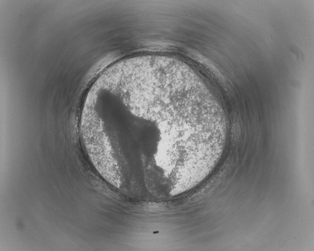 X0000114081362200911161007