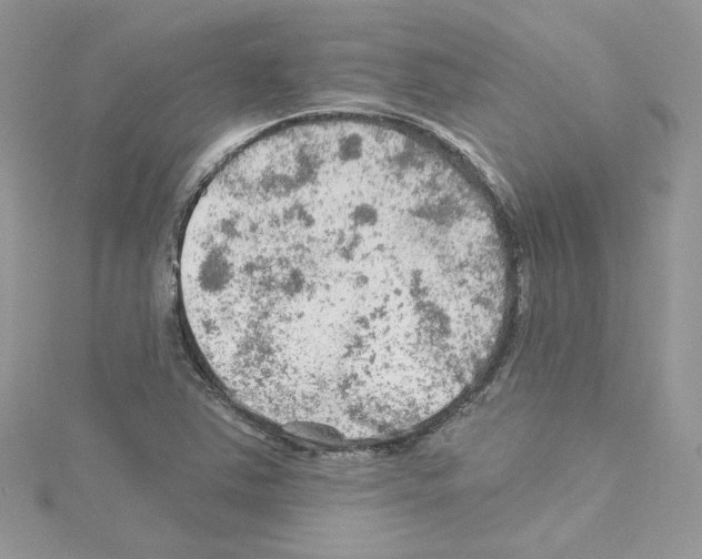 X0000114081363200911161007