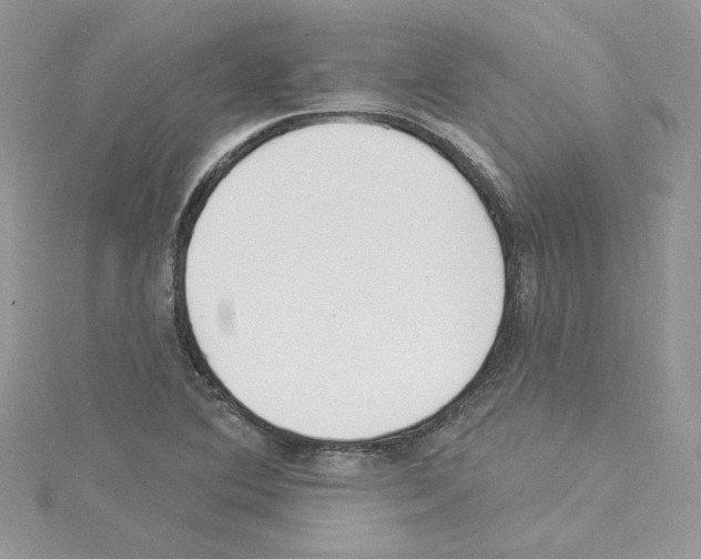 X0000114081364200911161007