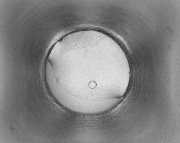 X0000114081365200911161007