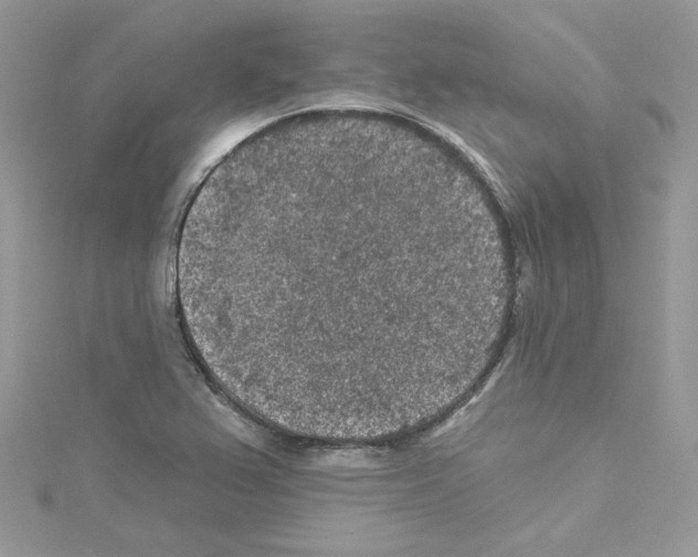 X0000114081367200911161007