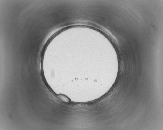 X0000114081368200911161007