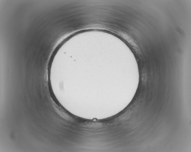 X0000114081372200911161007