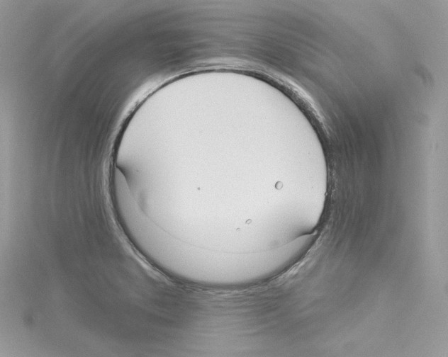 X0000114081373200911161007