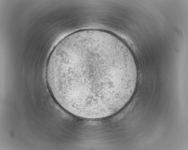 X0000114081374200911161007