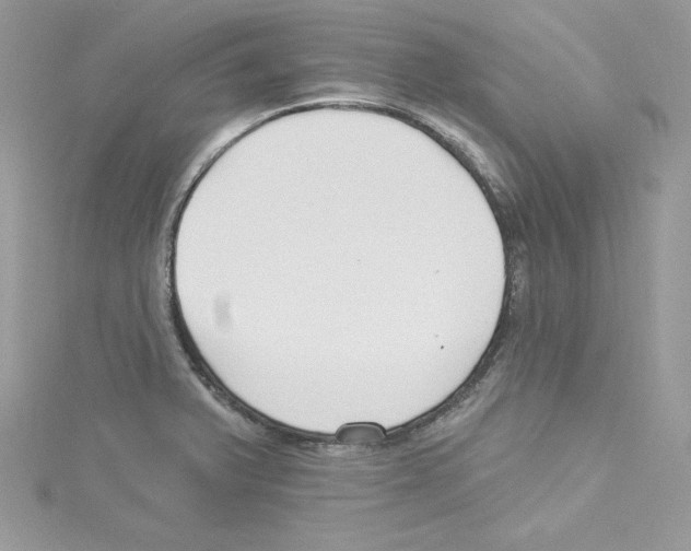 X0000114081375200911161007