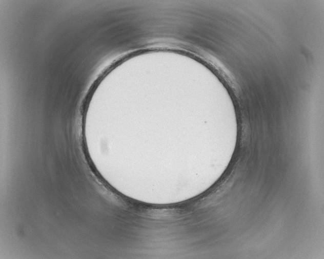 X0000114081376200911161007