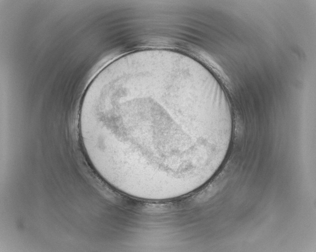 X0000114081378200911161007