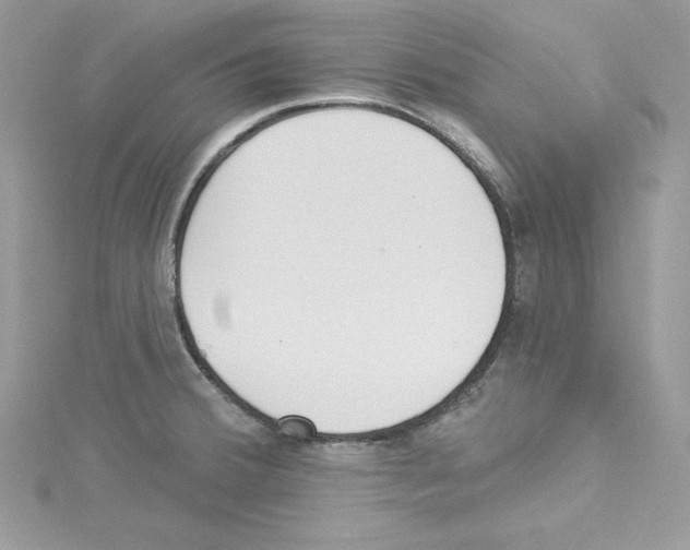 X0000114081380200911161007