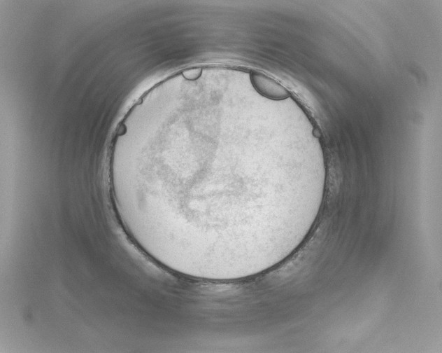 X0000114081382200911161007