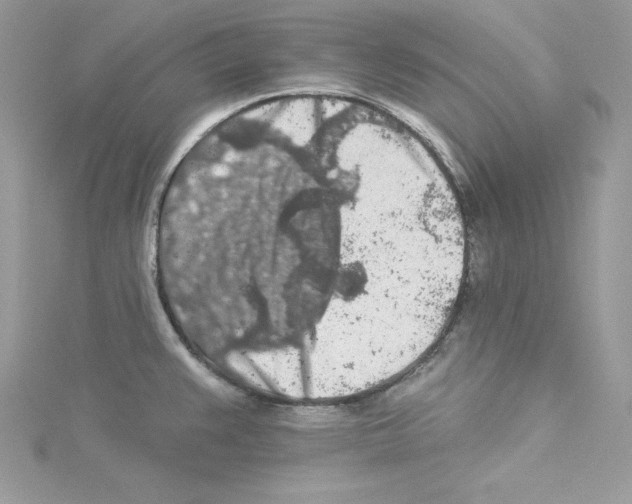 X0000114081383200911161007