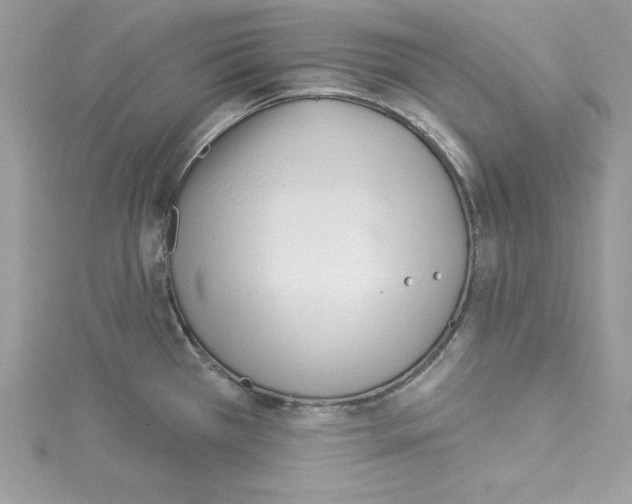 X0000114081385200911161007