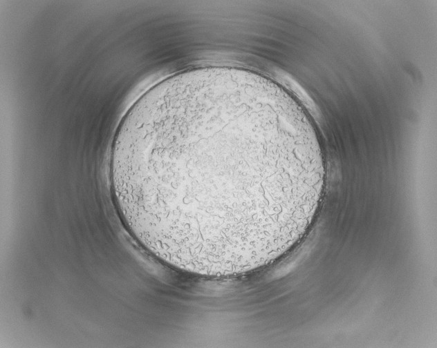 X0000114081386200911161007