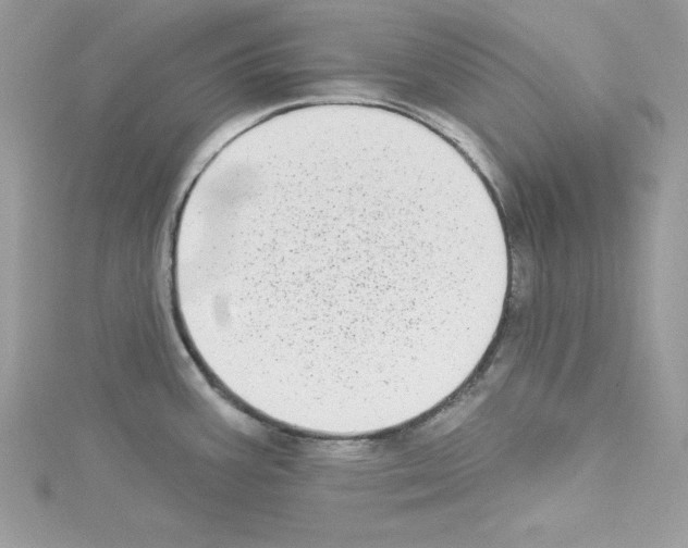 X0000114081387200911161007