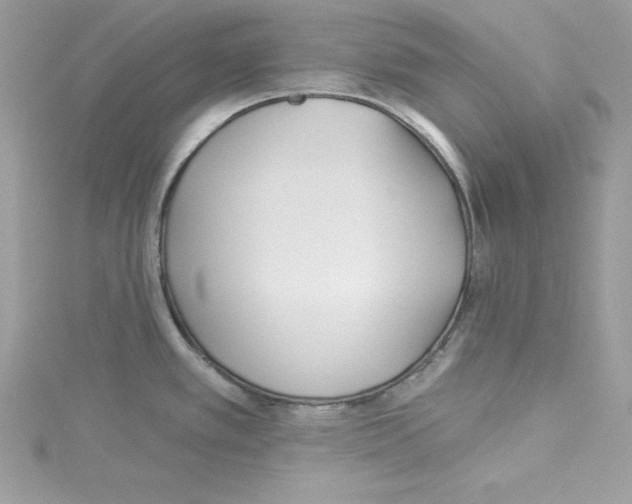 X0000114081389200911161007