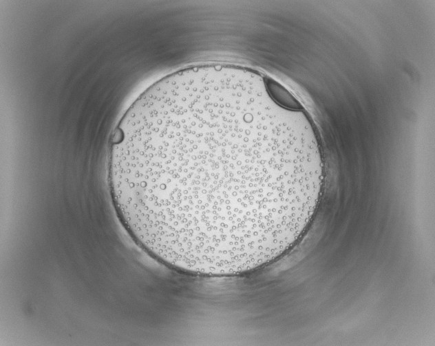 X0000114081390200911161007