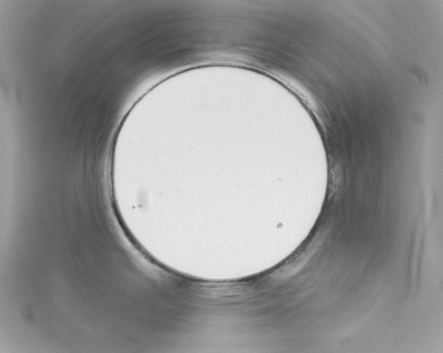 X0000114081391200911161007