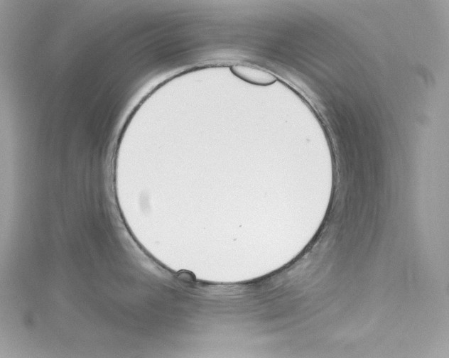 X0000114081392200911161007