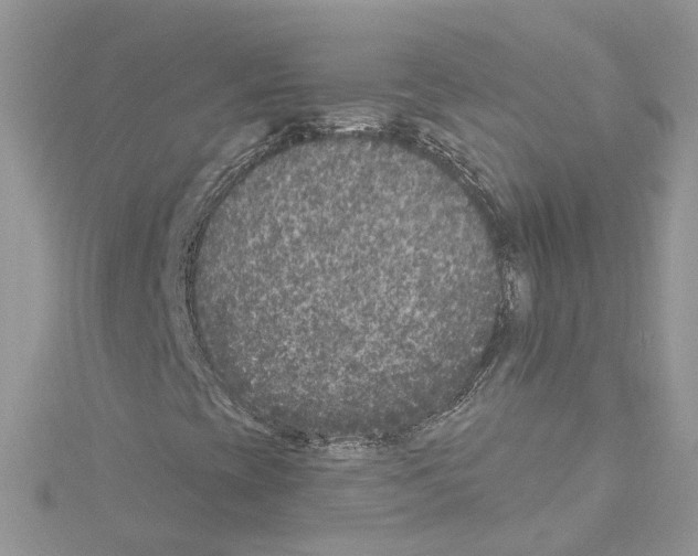 X0000114081393200911161006