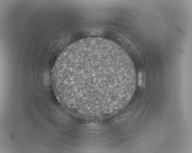 X0000114081395200911161006