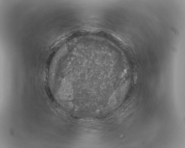 X0000114081397200911161006