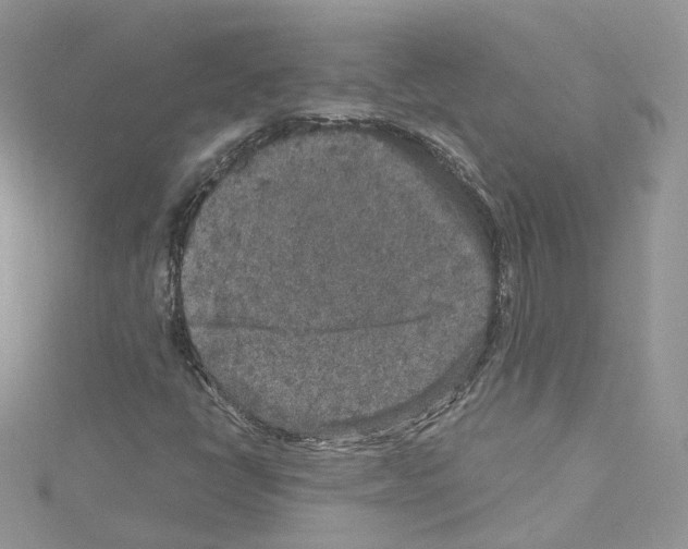 X0000114081398200911161006