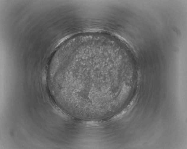 X0000114081401200911161006