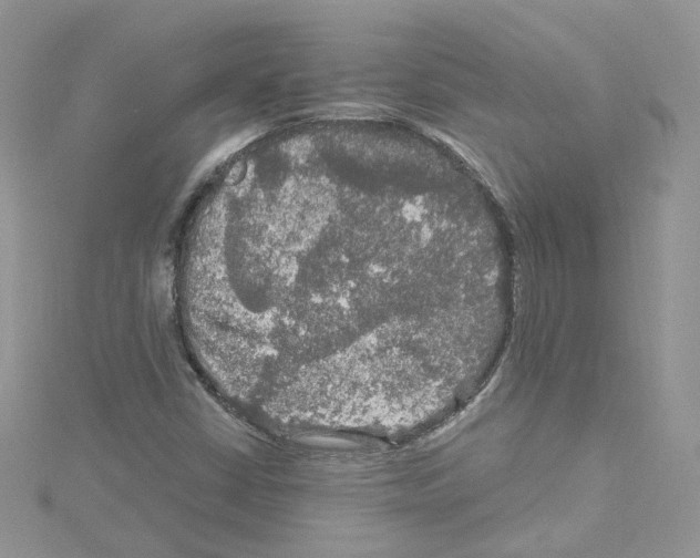 X0000114081402200911161006