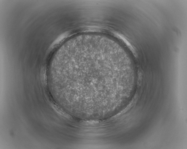 X0000114081403200911161006