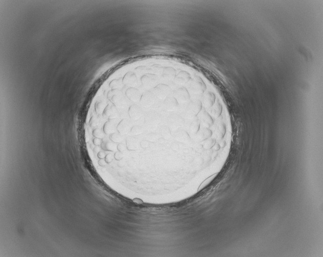 X0000114081404200911161006