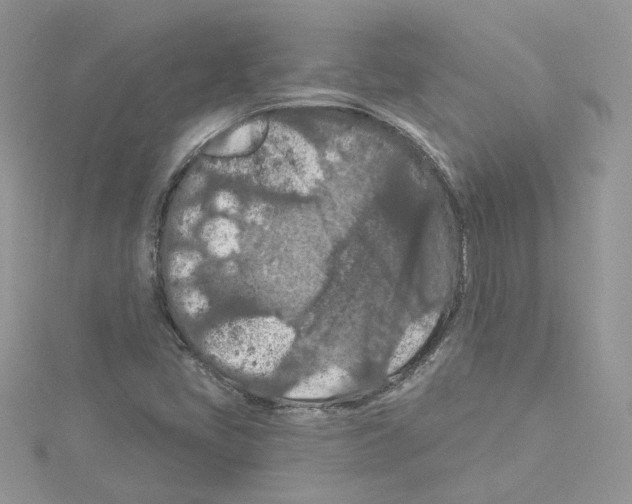 X0000114081405200911161006