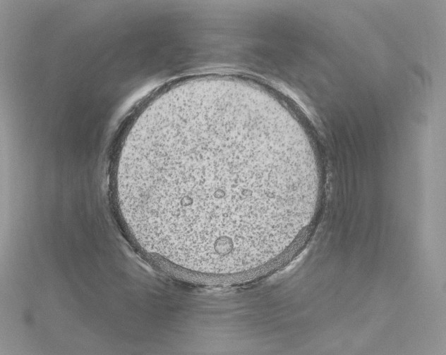 X0000114081406200911161006