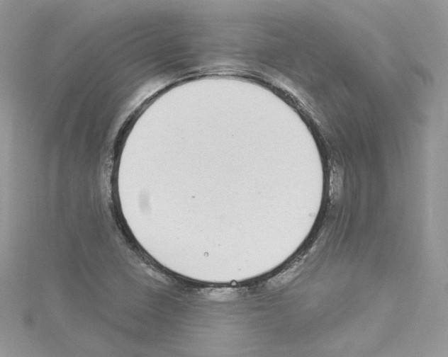 X0000114081410200911161006