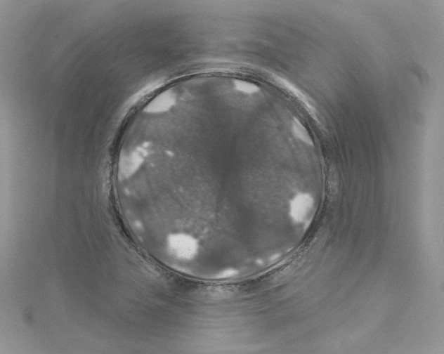 X0000114081411200911161006