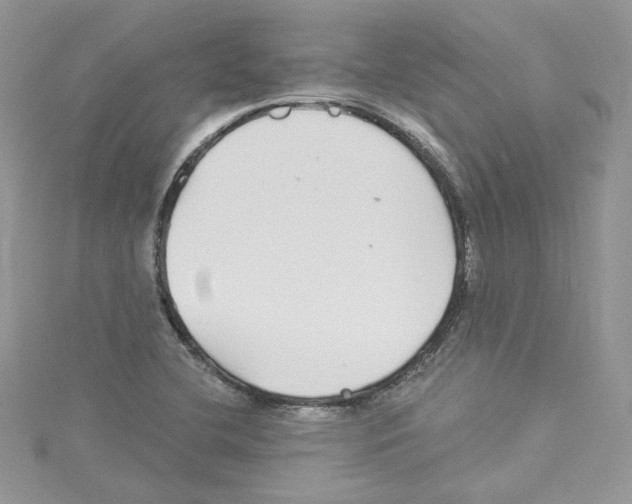 X0000114081412200911161006