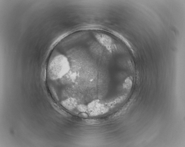 X0000114081413200911161006