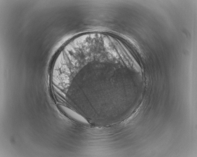 X0000114081414200911161006