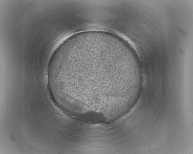 X0000114081415200911161006